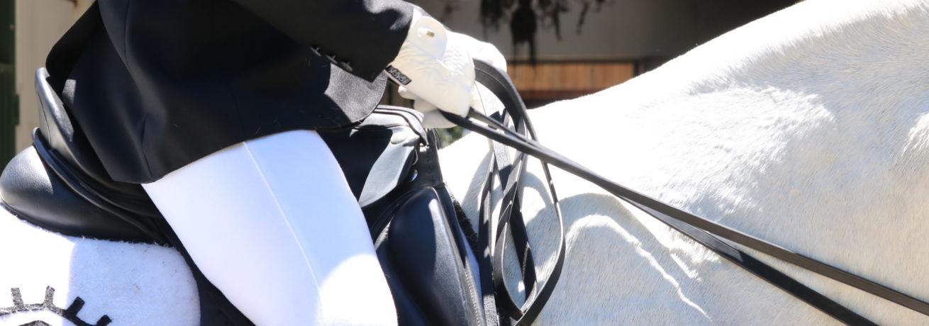 Equestrian Rider